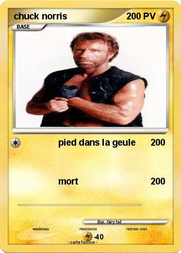Pokemon chuck norris