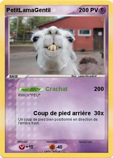 Pokemon PetitLamaGentil