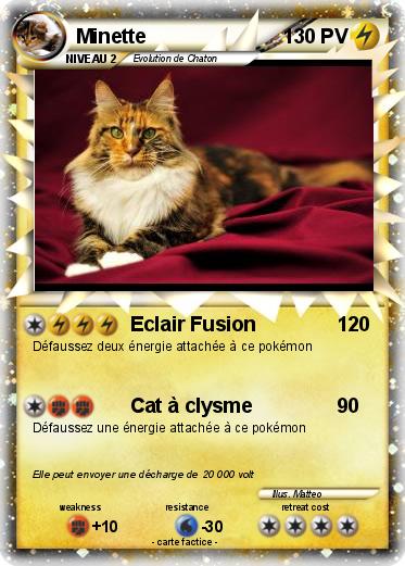 Pokemon Minette
