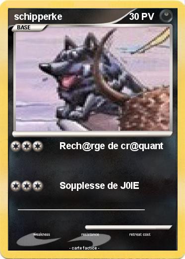 Pokemon schipperke