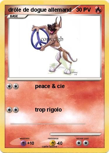 Pokemon drôle de dogue allemand