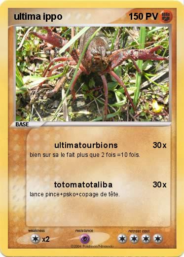 Pokemon ultima ippo