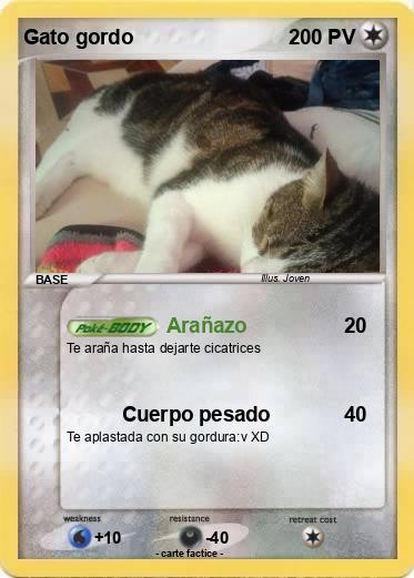 Pokemon Gato gordo