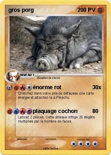 Pokemon gros porg