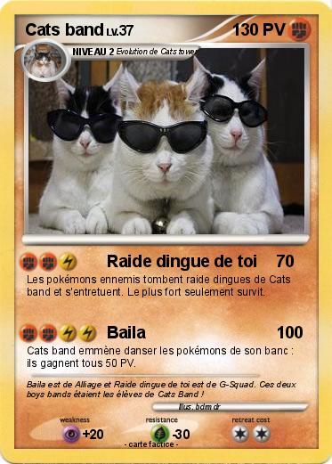 Pokemon Cats band