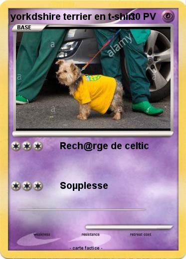 Pokemon yorkdshire terrier en t-shirt