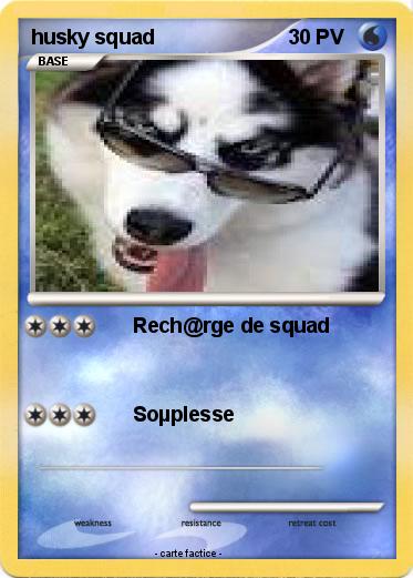 Pokemon husky squad