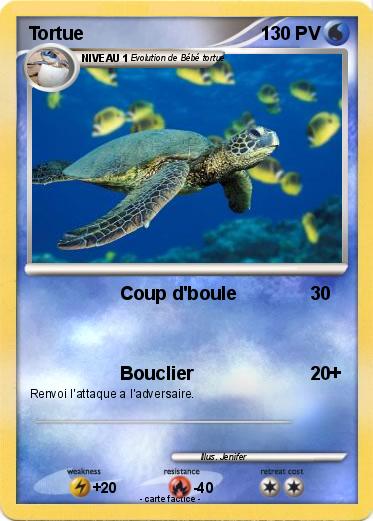Pokemon Tortue