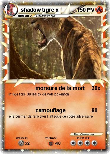 Pokemon shadow tigre x