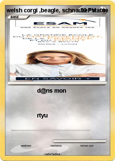 Pokemon welsh corgi ,beagle, schnauzer statue