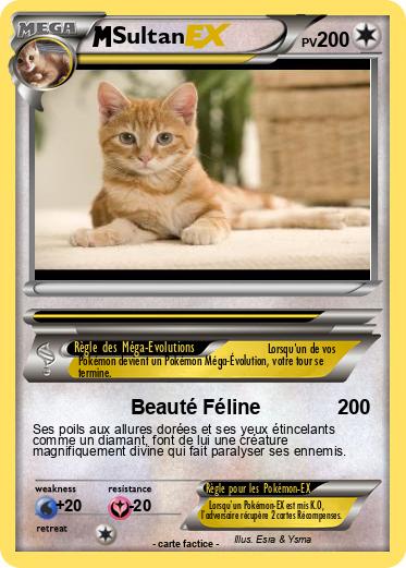 Pokemon Sultan