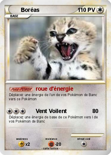 Pokemon Boréas