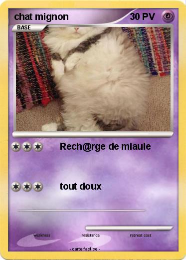 Pokemon chat mignon