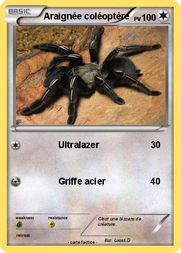Pokemon Araignée coléoptère