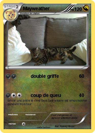 Pokemon Mayweather