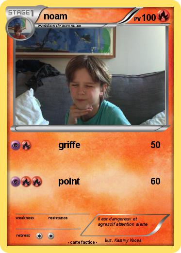 Pokemon noam