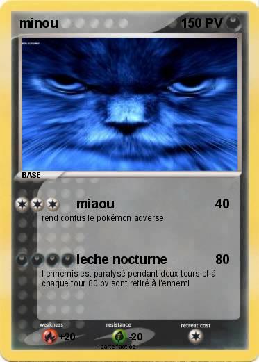 Pokemon minou