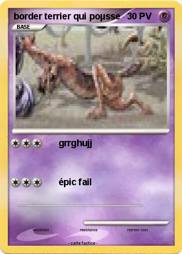 Pokemon border terrier qui poµsse