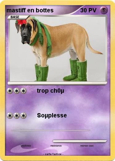 Pokemon mastiff en bottes