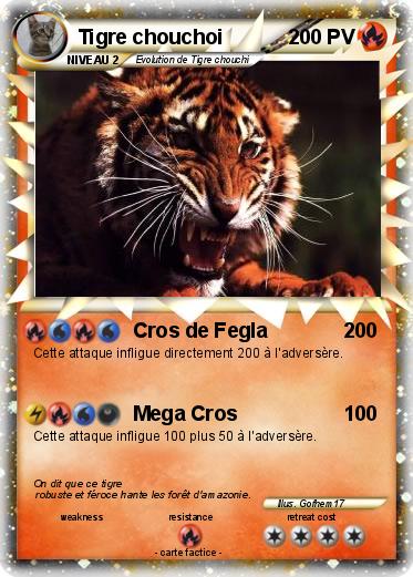 Pokemon Tigre chouchoi