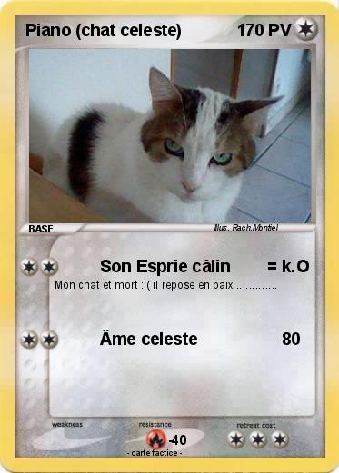 Pokemon Piano (chat celeste)