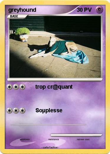Pokemon greyhound