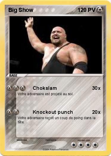 Pokemon Big Show
