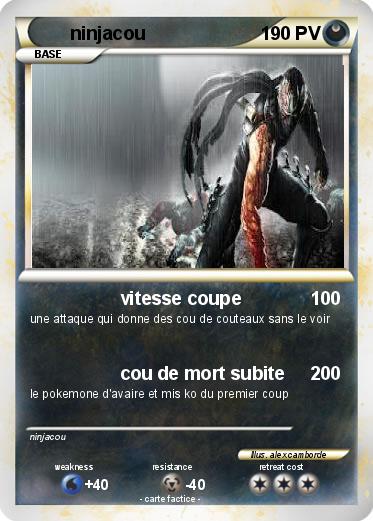 Pokemon ninjacou