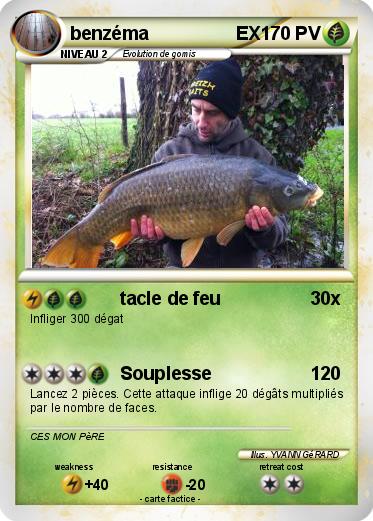 Pokemon benzéma                 EX