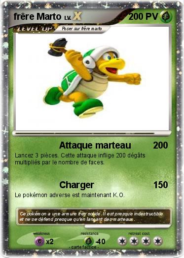 Pokemon frêre Marto