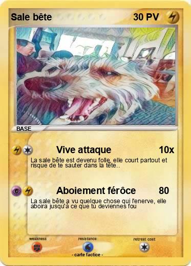 Pokemon Sale bête