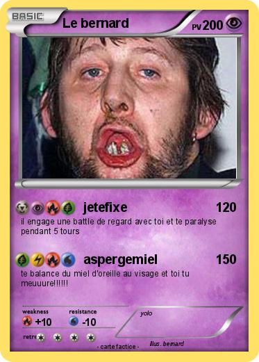 Pokemon Le bernard