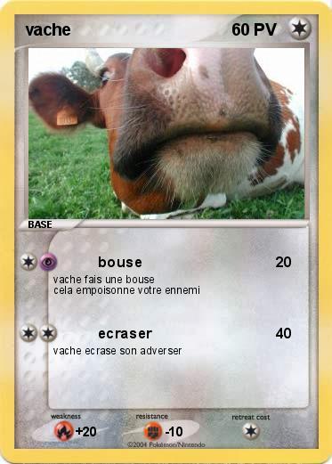 Pokemon vache