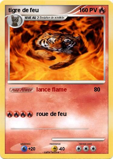 Pokemon tigre de feu