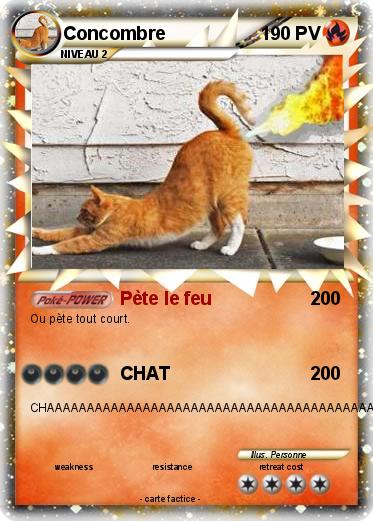 Pokemon Concombre
