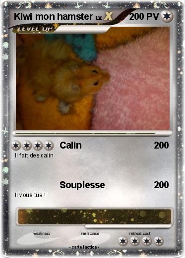 Pokemon Kiwi mon hamster