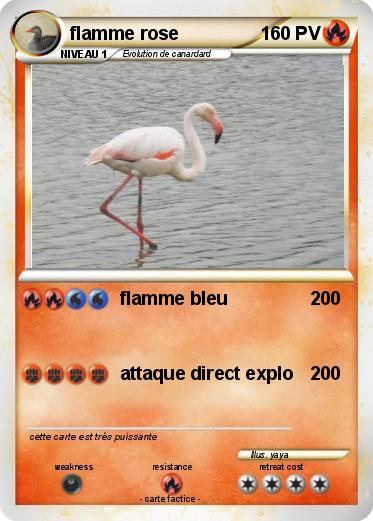 Pokemon flamme rose