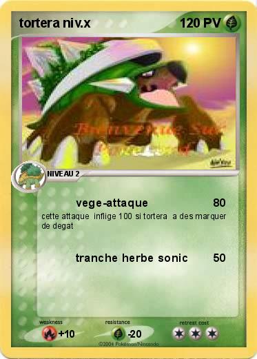 Pokemon tortera niv.x