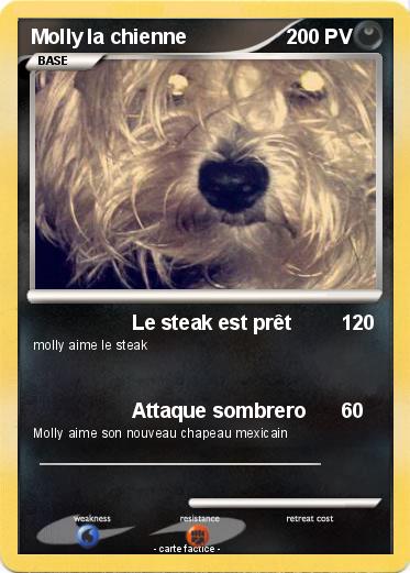 Pokemon Molly la chienne