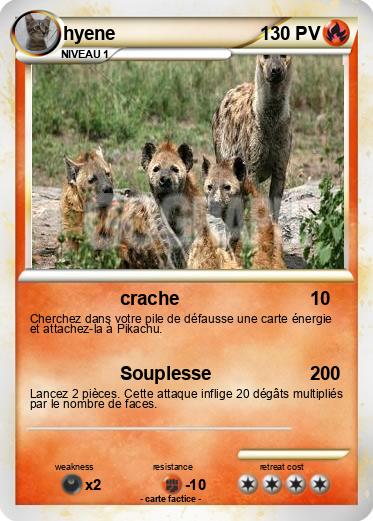 Pokemon hyene