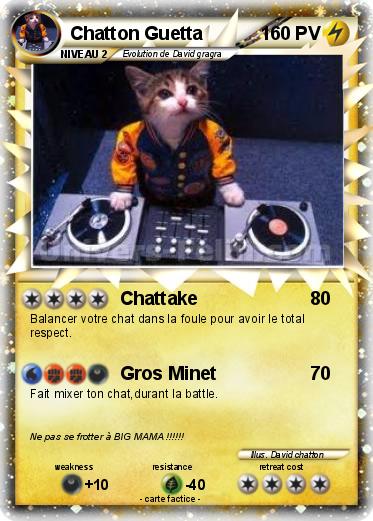 Pokemon Chatton Guetta