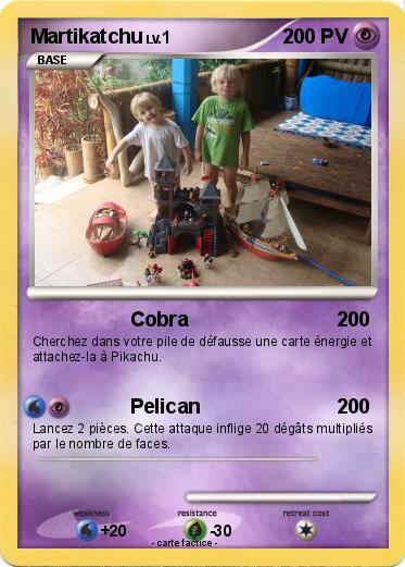 Pokemon Martikatchu