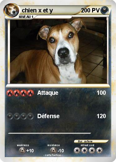Pokemon chien x et y