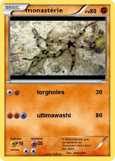 Pokemon monastérie