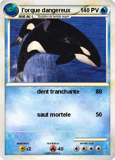 Pokemon l'orque dangereux