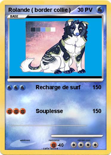 Pokemon Rolande ( border collie )