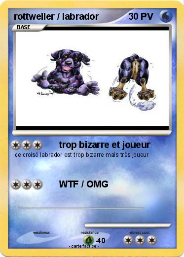 Pokemon rottweiler / labrador
