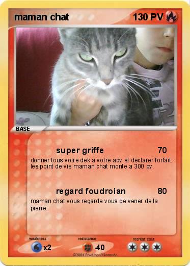 Pokemon maman chat
