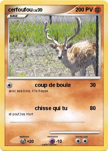 Pokemon cerfoufou