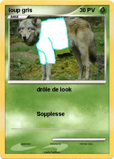 Pokemon loup gris